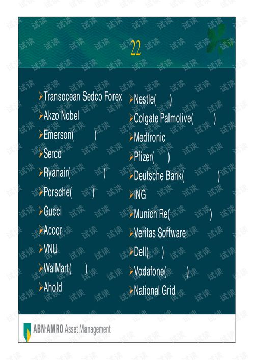 荷银投资管理公司全球首选投资策略商业计划书精品模板.pdf