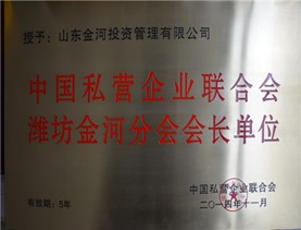 山东金河投资集团 区域金融的稳健力量与中国投资管理企业的优秀代表